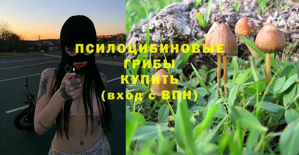 тгк Михайлов