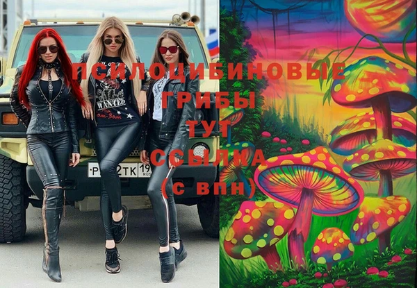 тгк Михайлов