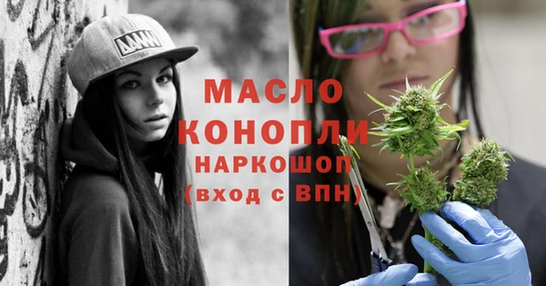 тгк Михайлов